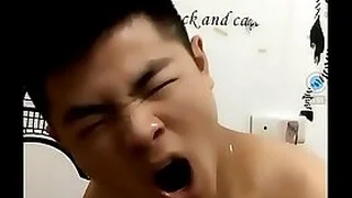 Gay TV 5